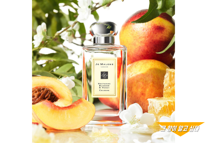 Nectarine blossom & Honey by Jo malone London