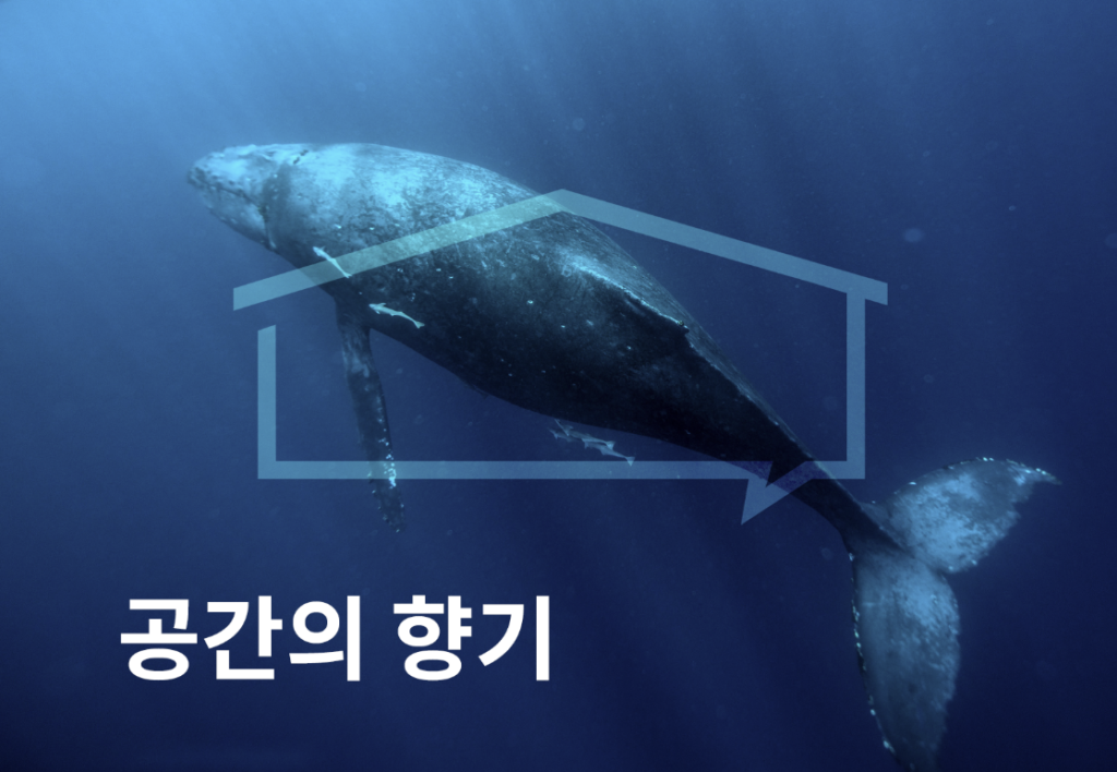 고래