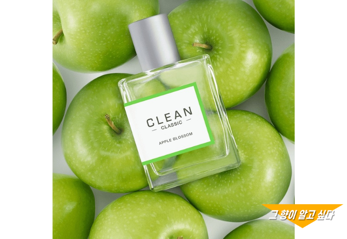 Apple blossom by CLEAN